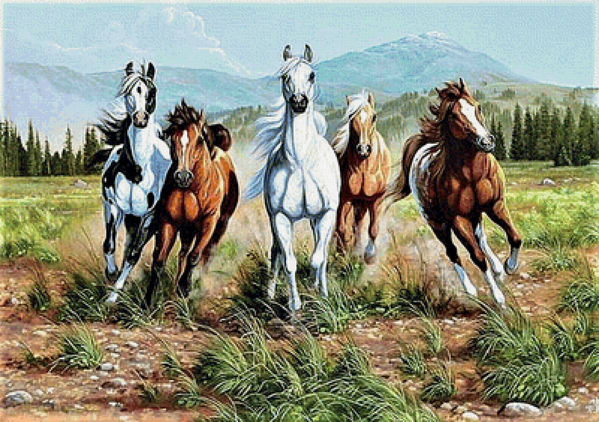 №1892877 - лошади - предпросмотр