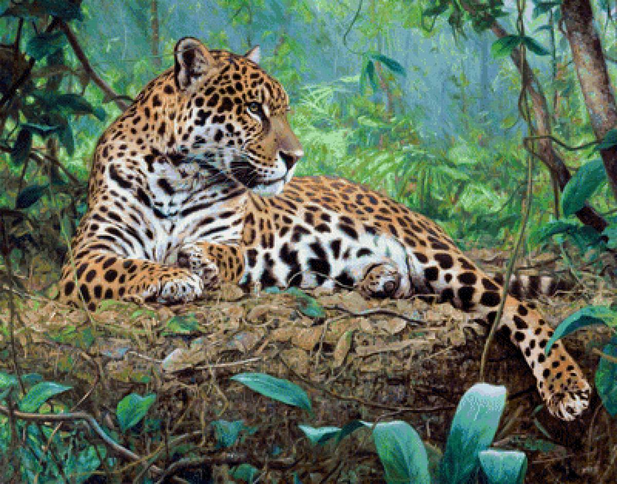 Леопард - животные, рисунок, леопард, природа - предпросмотр