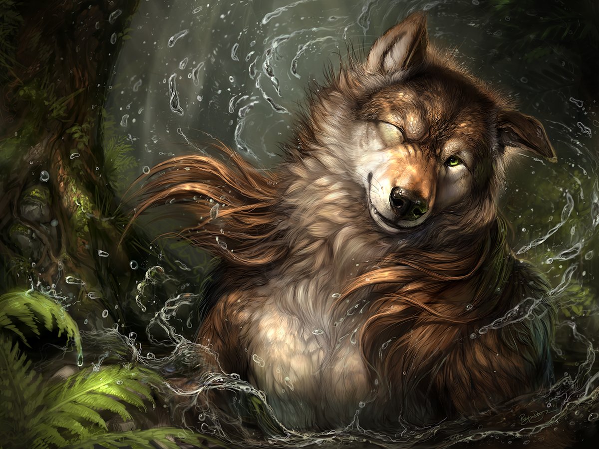 Волк - природа, волк, лес, рисунок, животные - оригинал