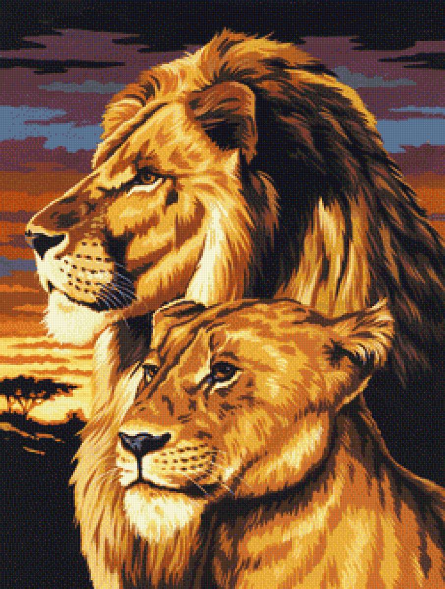 Лев и львица - предпросмотр