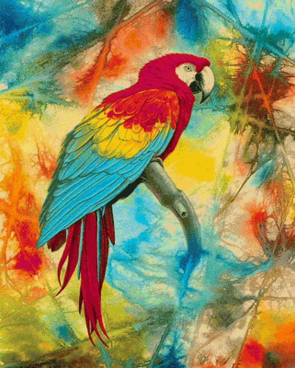 Попугайчик - попугай, птица, рисунок - предпросмотр