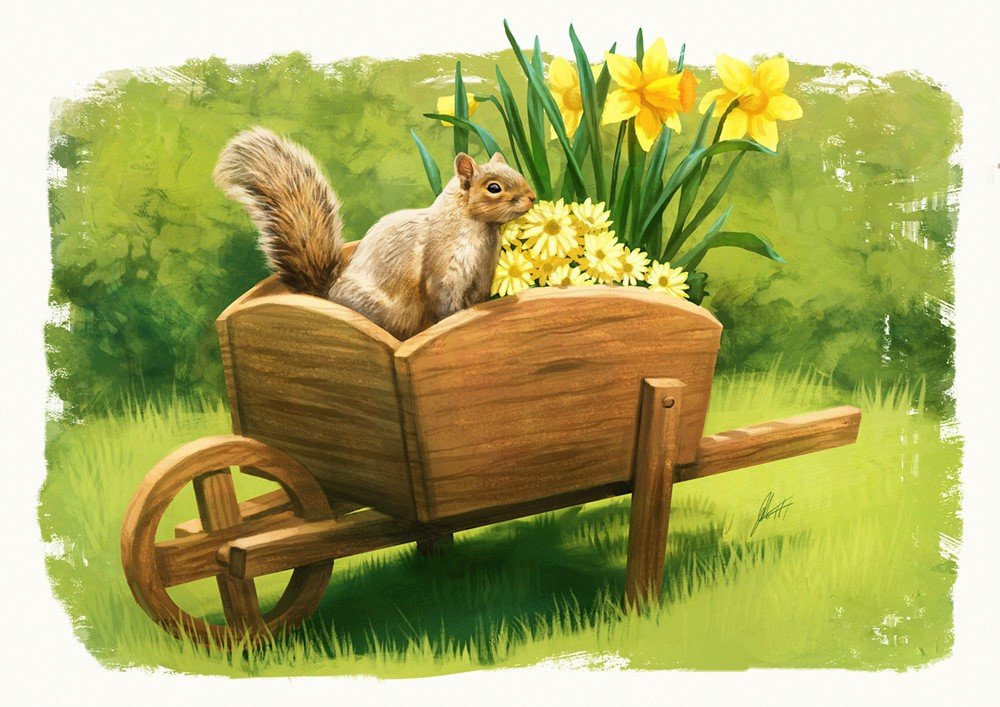 Белочка - рисунок, лето, цветы, белочка, белка - оригинал