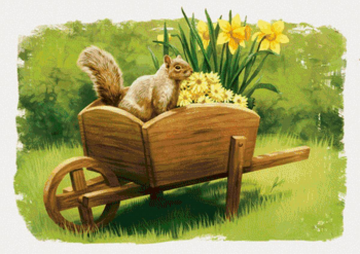 Белочка - белка, лето, цветы, рисунок, белочка - предпросмотр