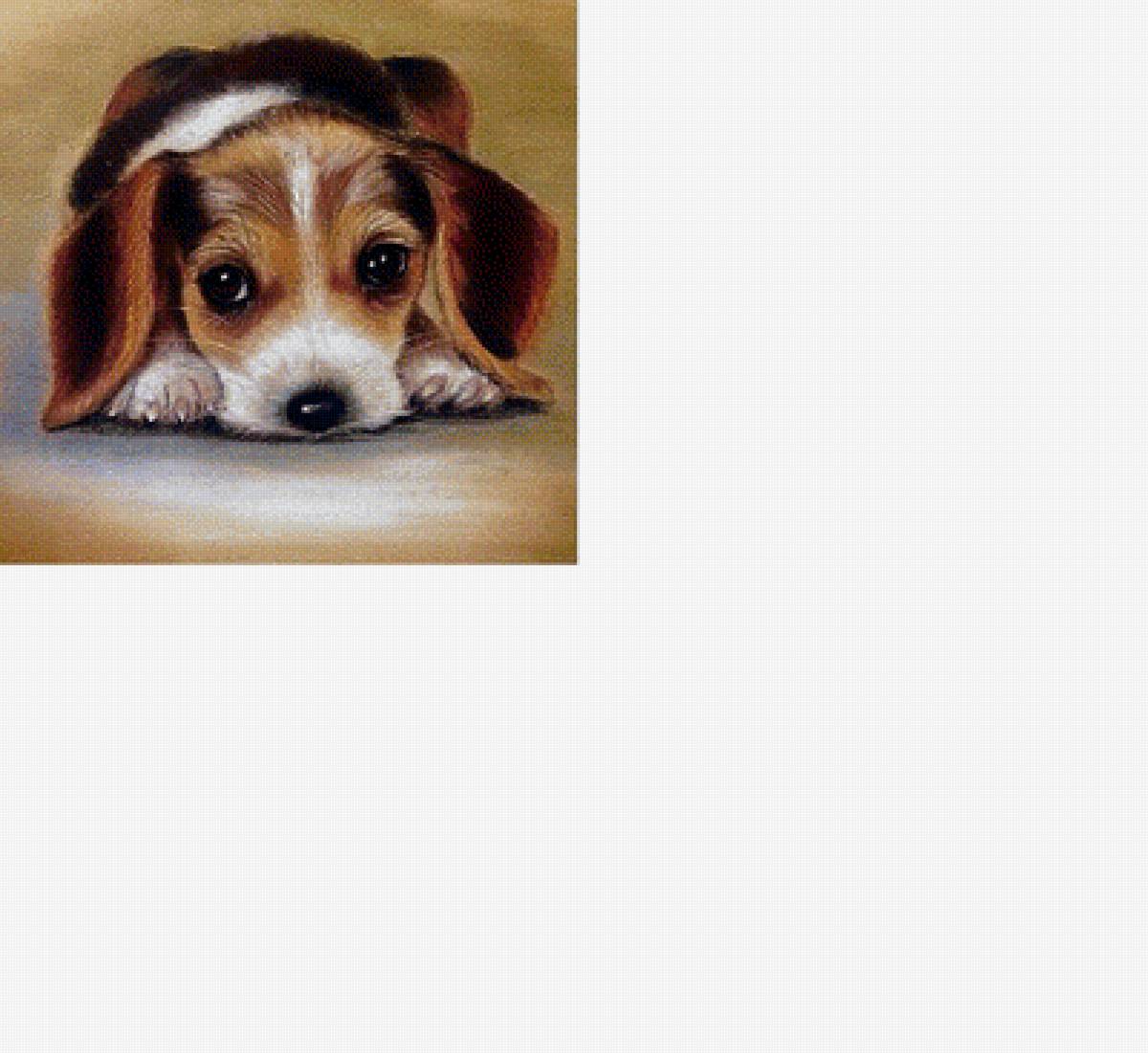 Грустный щенок /размер 200х197 крестиков/ - щенок, собака - предпросмотр