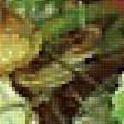 Предпросмотр схемы вышивки «ГРИБ И БАБОЧКА» (№1893478)