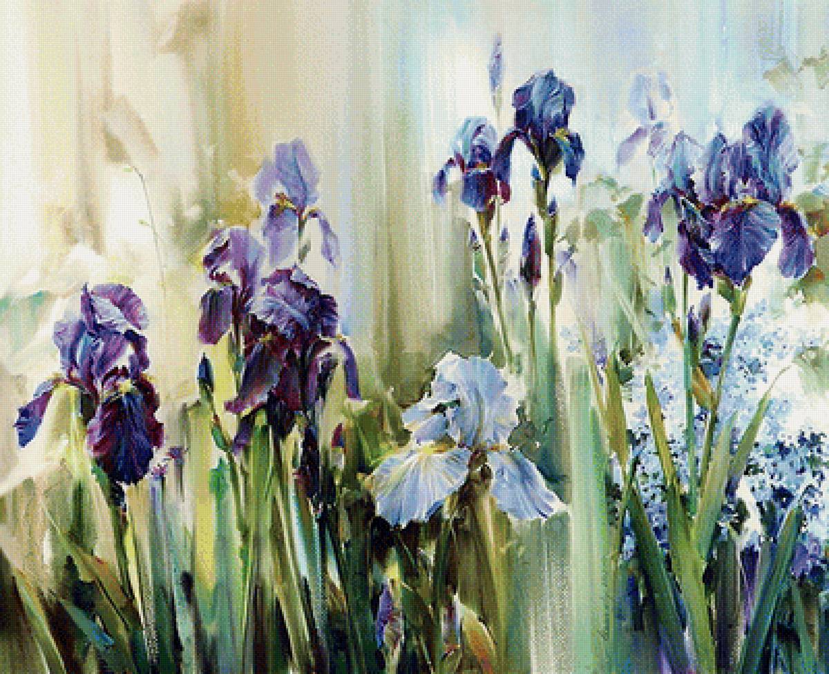 ирисы - предпросмотр