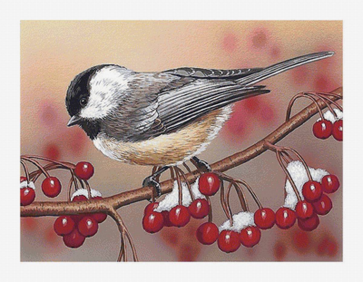 птица - птицы - предпросмотр