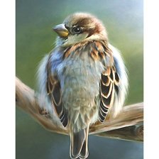 Схема вышивки «птица»