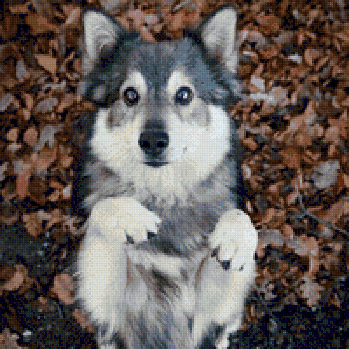 Собачка нитками дмс - предпросмотр