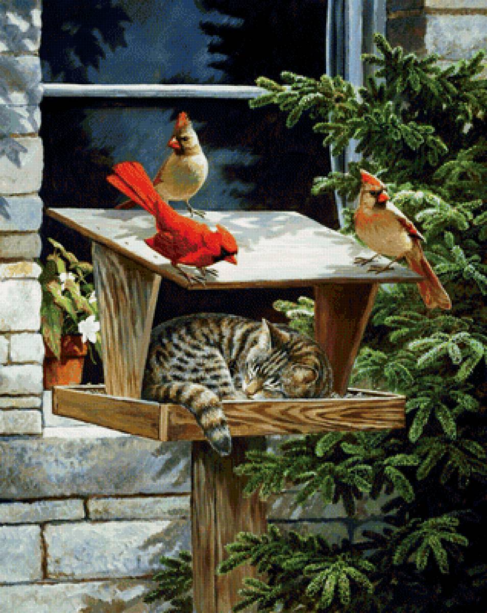 Кот и птички - кот, птички, животные, рисунок, котик, птицы - предпросмотр