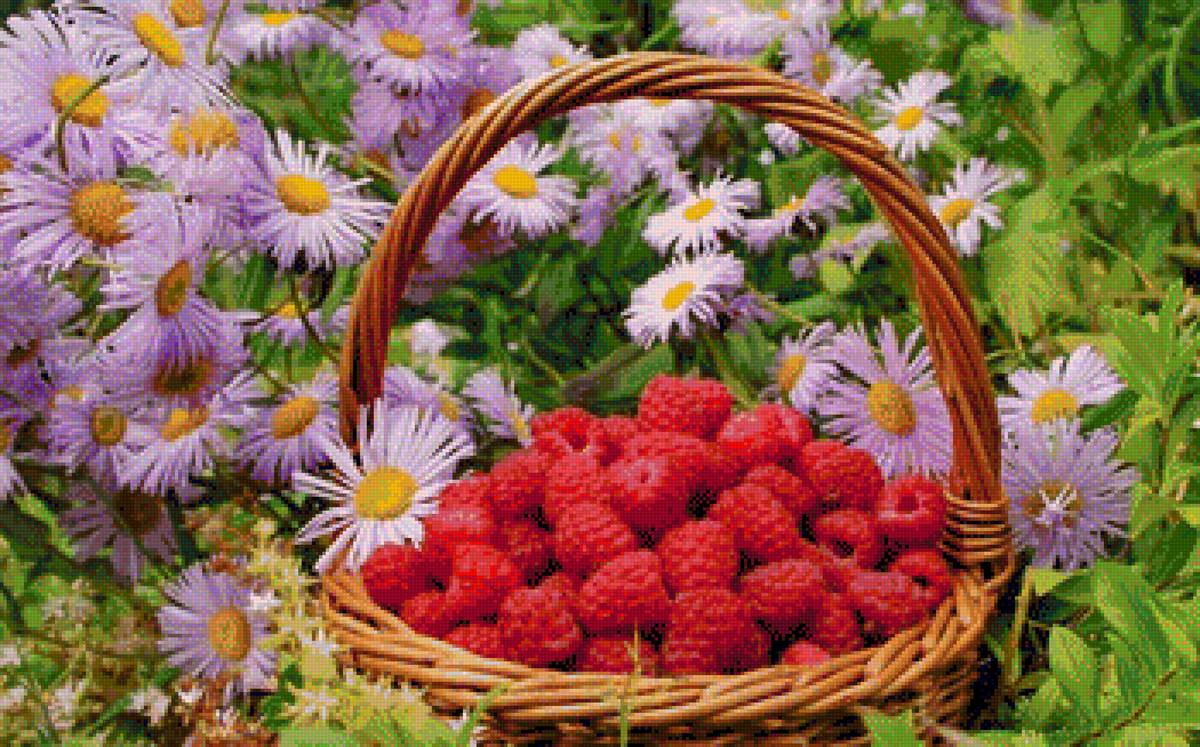 МАЛИНА - малина - предпросмотр