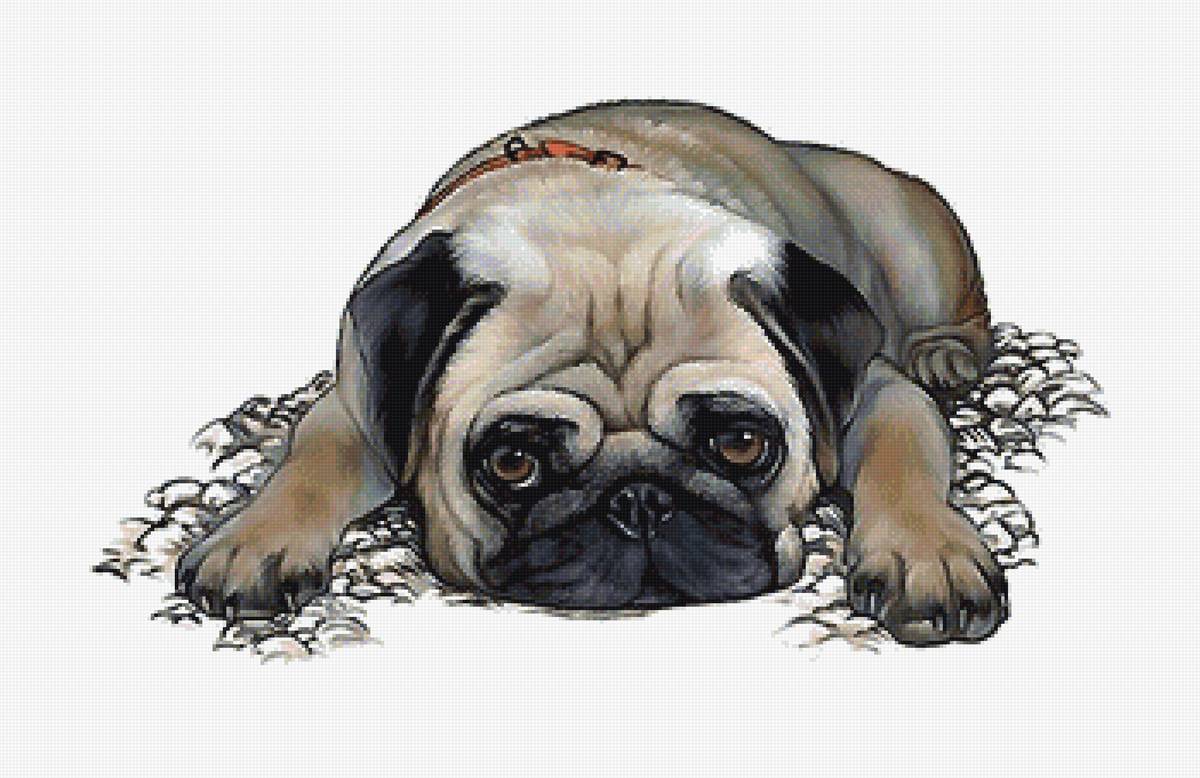 №1893790 - предпросмотр