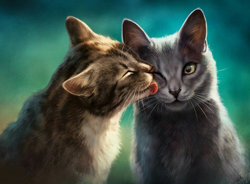 Котики - кошка, животные, кот, котики, рисунок - оригинал