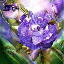 Схема вышивки «№1894003»