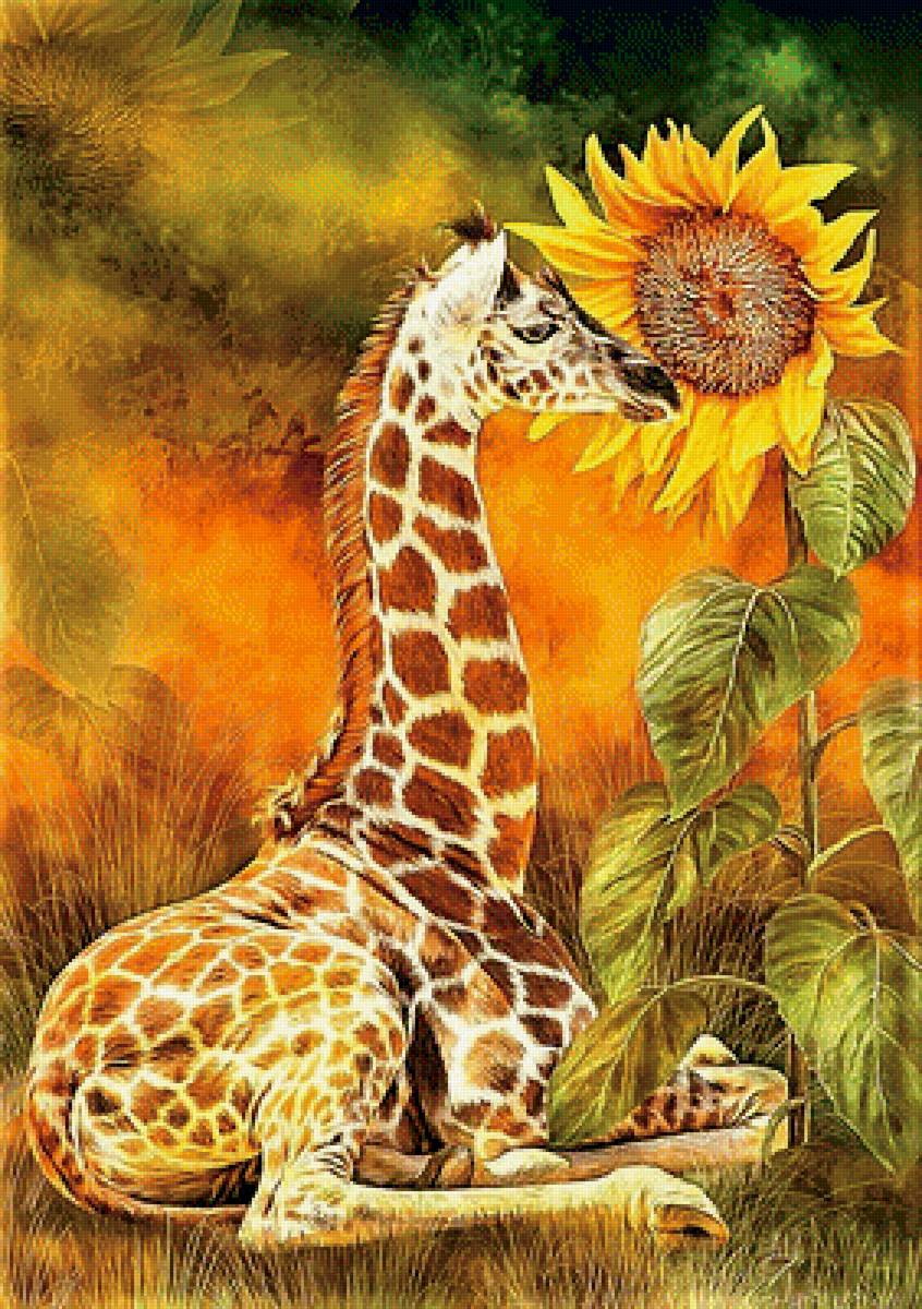 №1894195 - жираф - предпросмотр