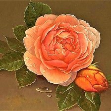 Схема вышивки «№1894219»