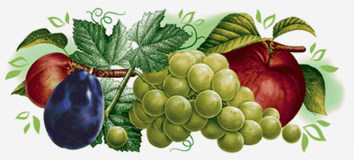 Серия "Фруктово-ягодная". Панелька - виноград, фрукты, ягоды - предпросмотр