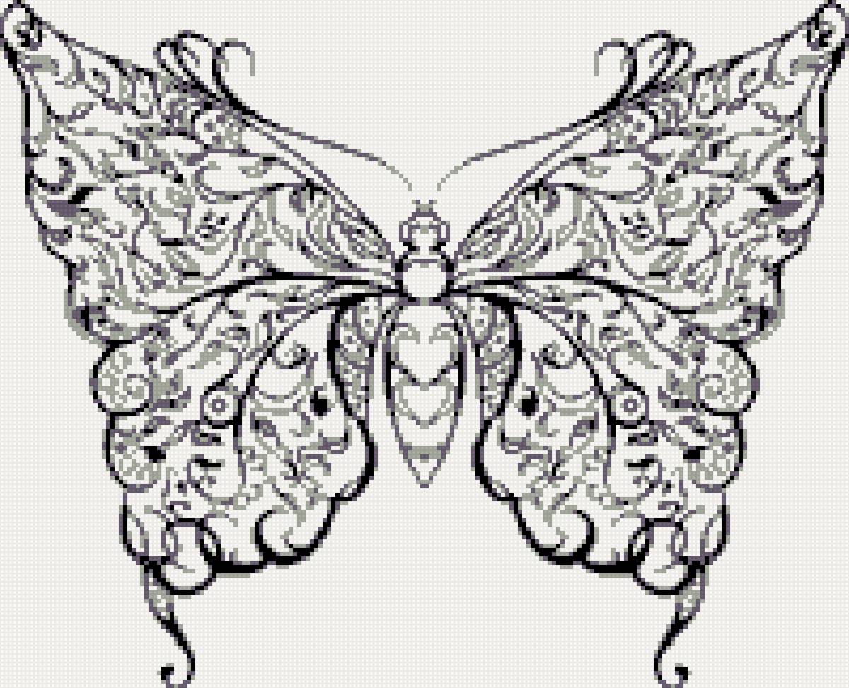 бабочка - предпросмотр