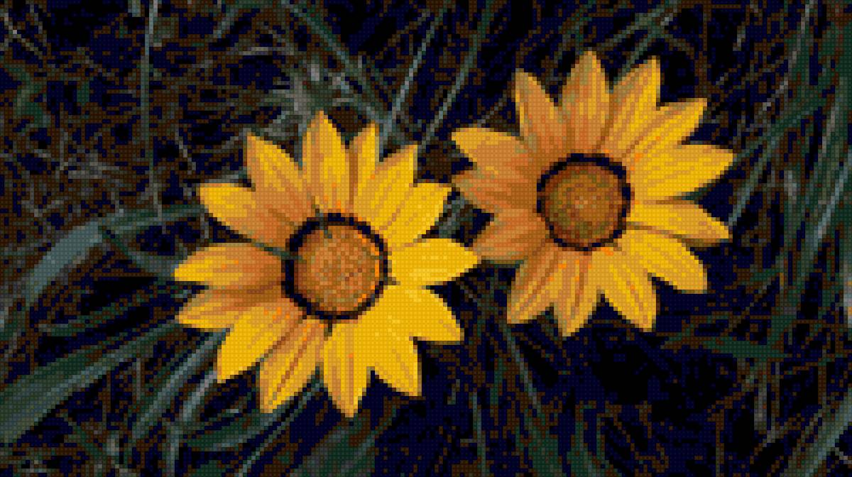 Мои цветы - ромашки, сад, цветы, лето - предпросмотр