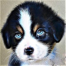 Схема вышивки «№1894811»