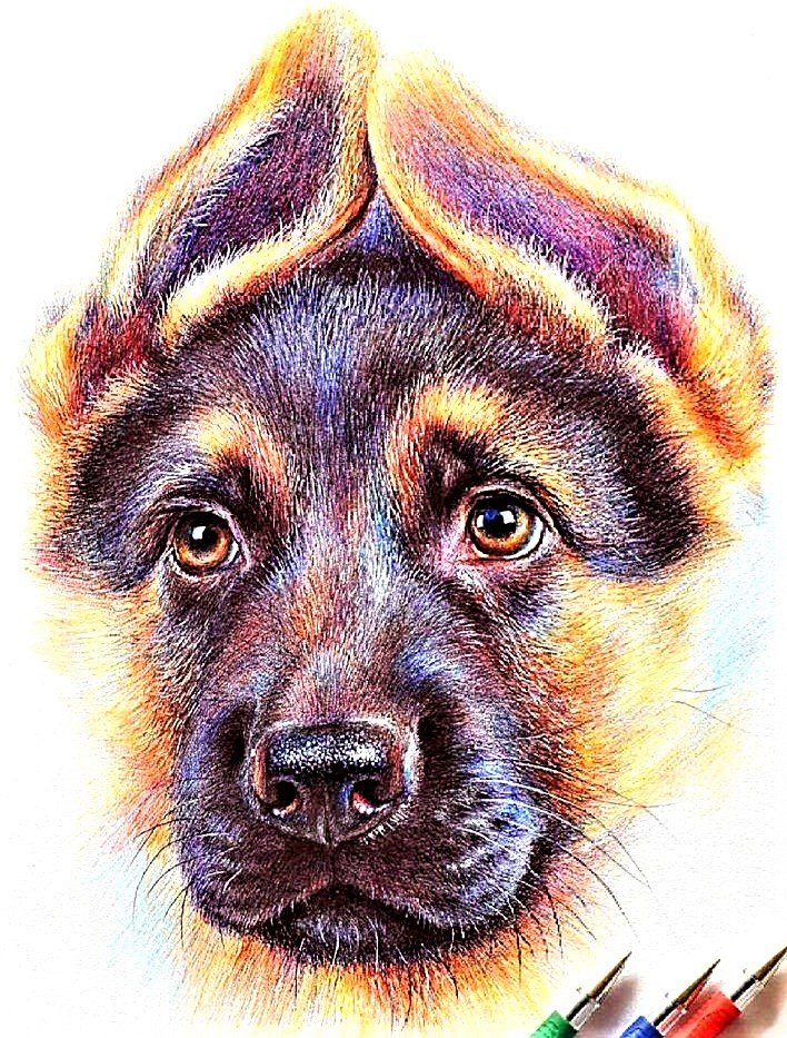 №1894814 - щенок - оригинал