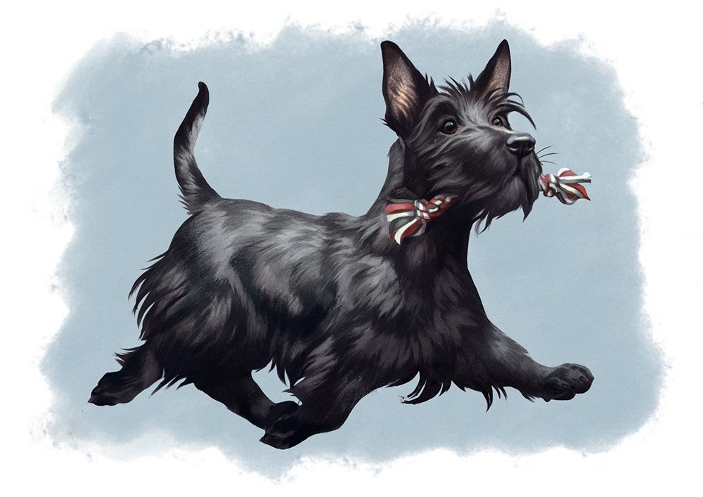 Собачка - собака, рисунок, собачка, животные - оригинал