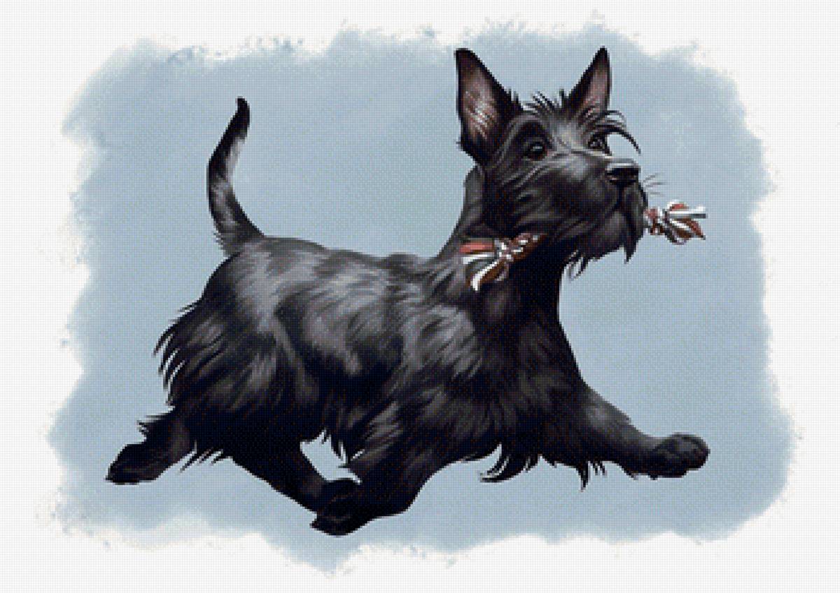 Собачка - рисунок, собака, животные, собачка - предпросмотр