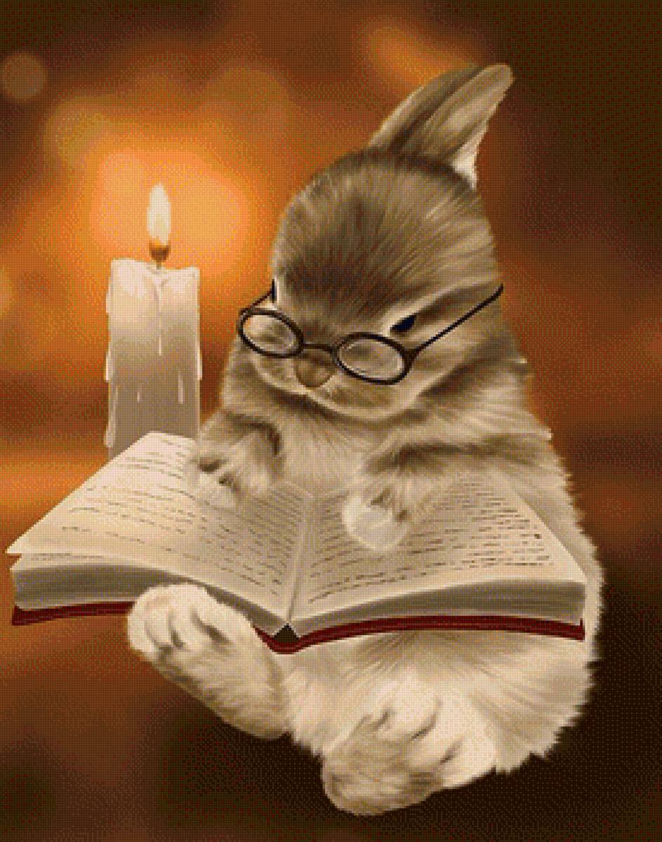 Кролик с книгой - свеча, рисунок, животные, книга, кролик - предпросмотр