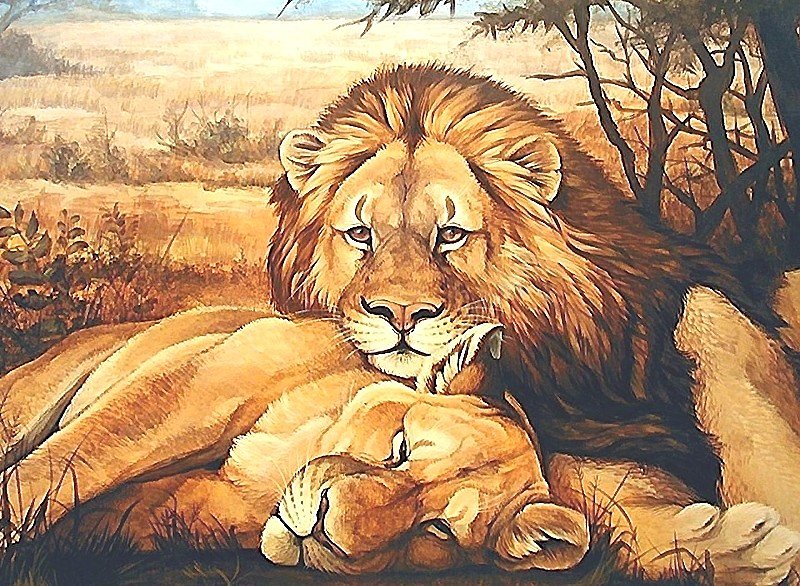 львы - мир животных - оригинал