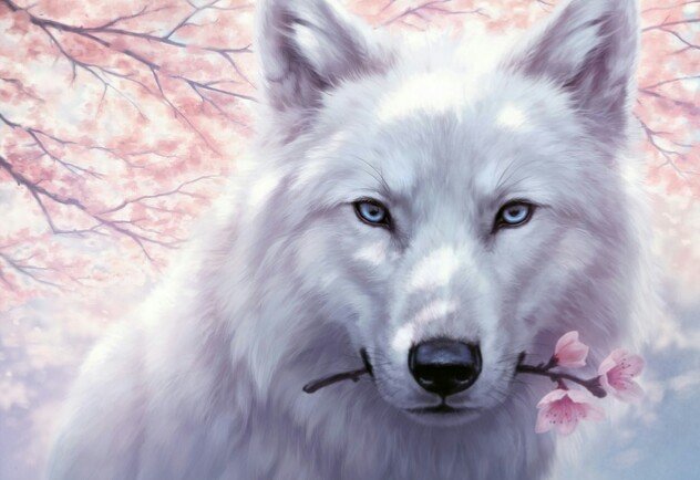 Белый волк - рисунок, волк, животные - оригинал