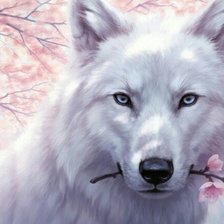 Оригинал схемы вышивки «Белый волк» (№1895189)