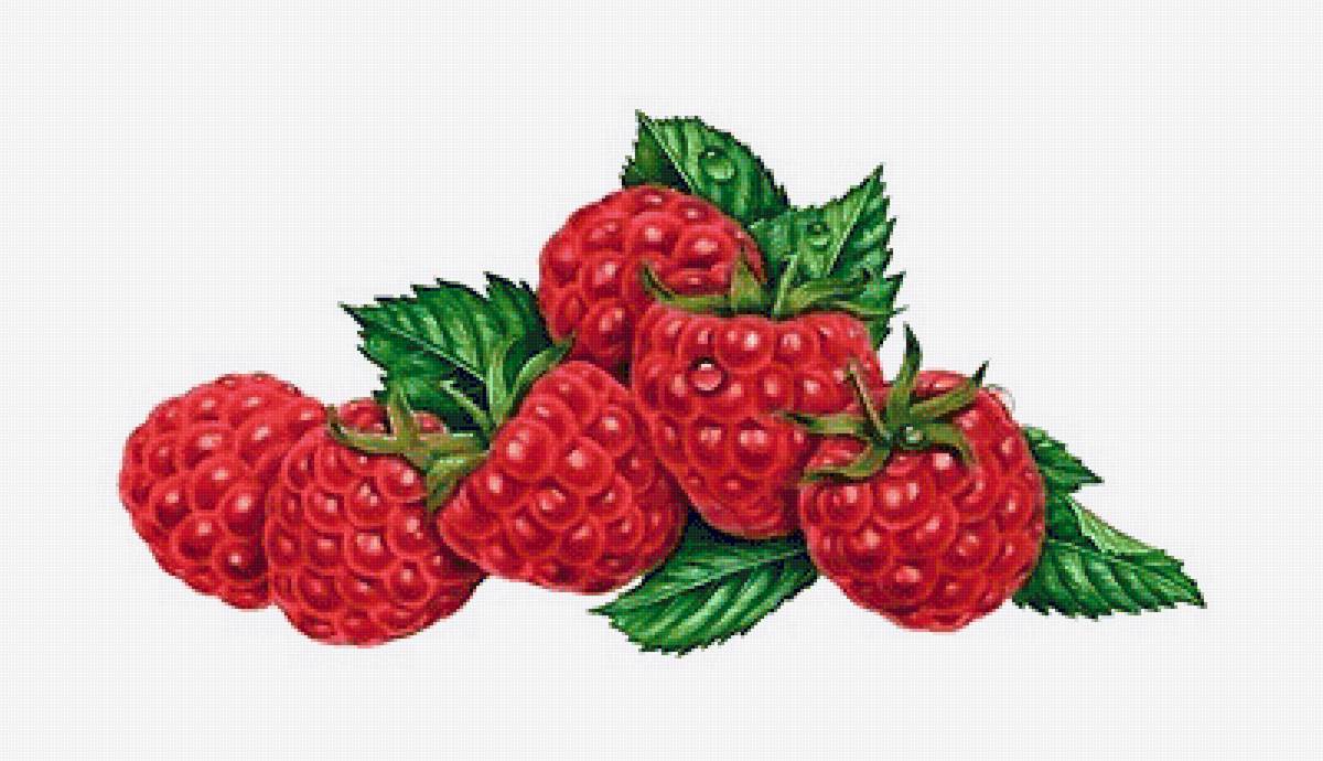 МАЛИНА - предпросмотр