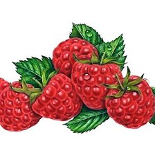 Схема вышивки «МАЛИНА»