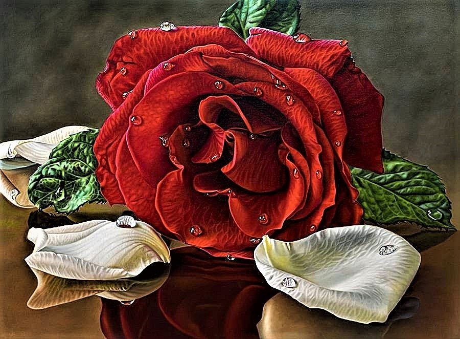 №1895348 - розы - оригинал