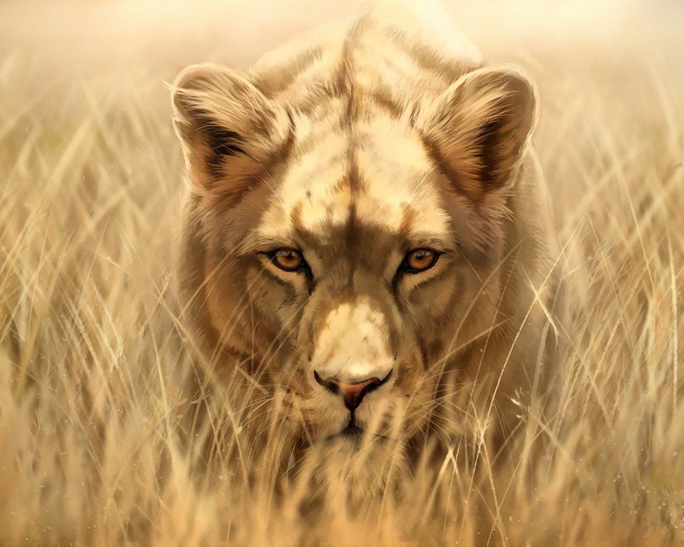 Львица - львица, животные, рисунок - оригинал