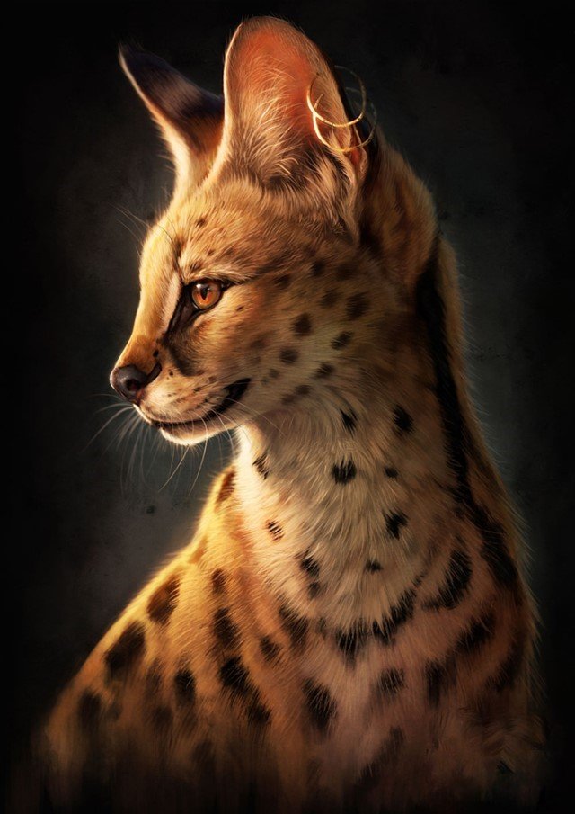 Кошка - рисунок, животные, кошка - оригинал