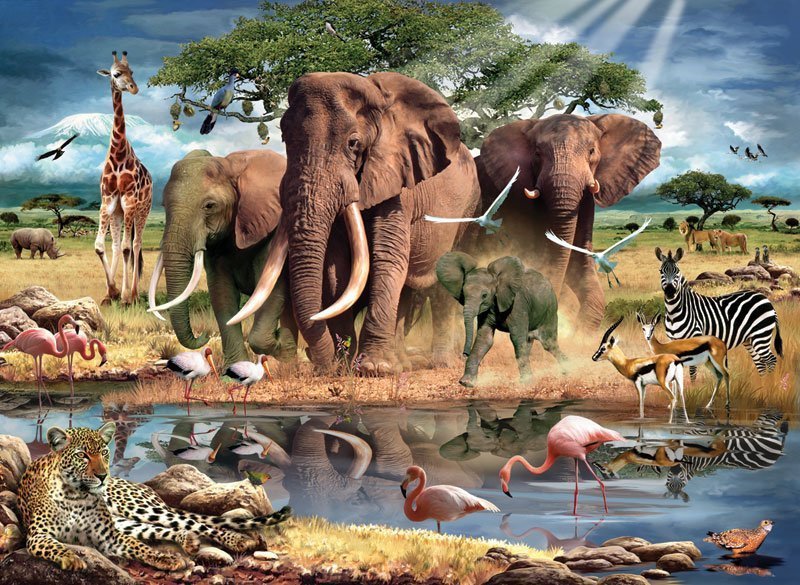 485 - оригинал