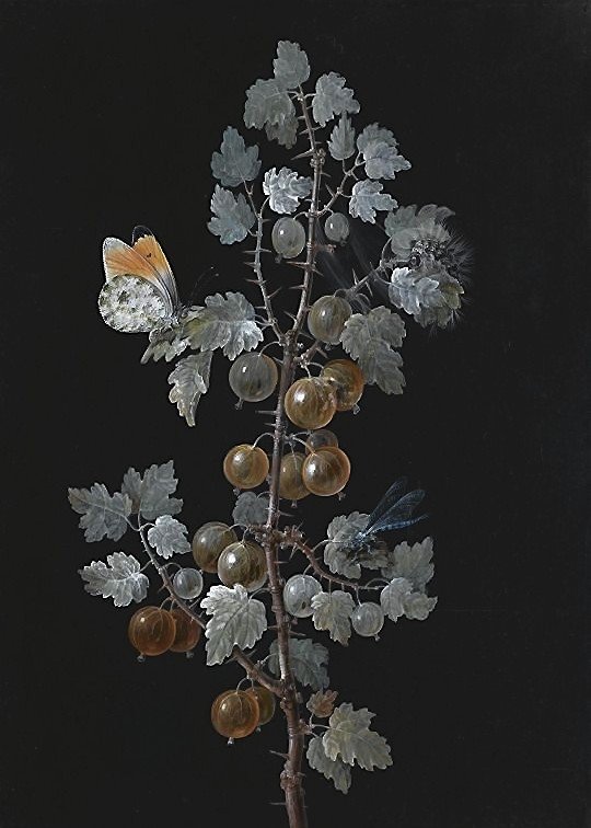 ветка и бабочка - оригинал