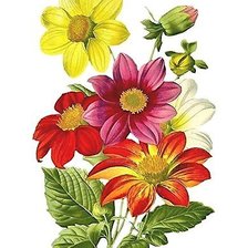 Схема вышивки «№1896112»