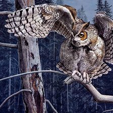 Схема вышивки «сова»