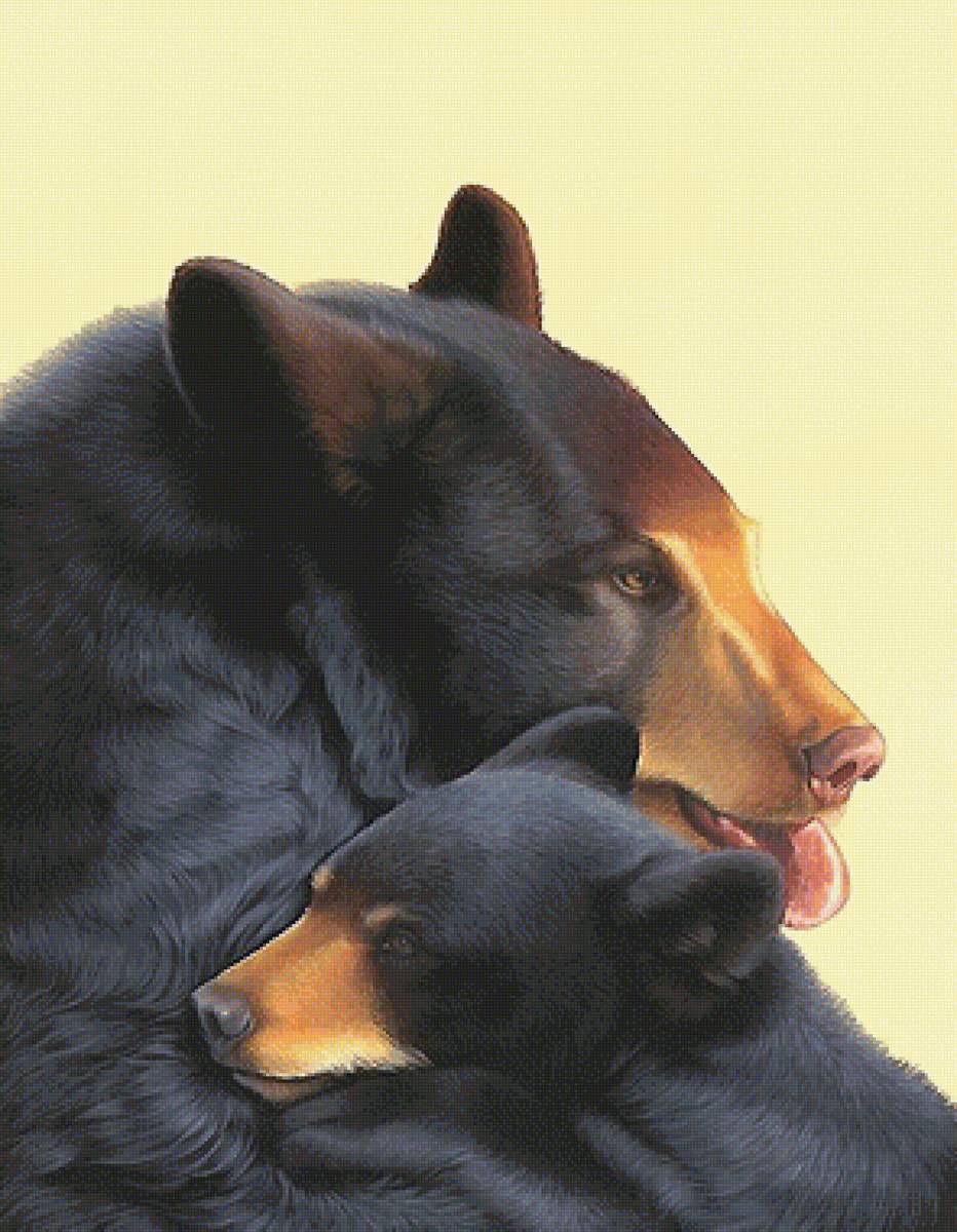 медведи - мир животных - предпросмотр