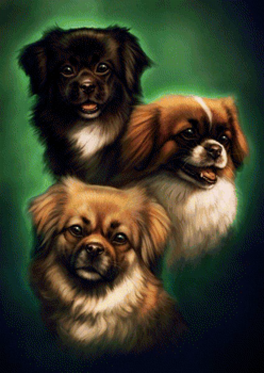 Собачки - животные, собачки, рисунок, собака - предпросмотр