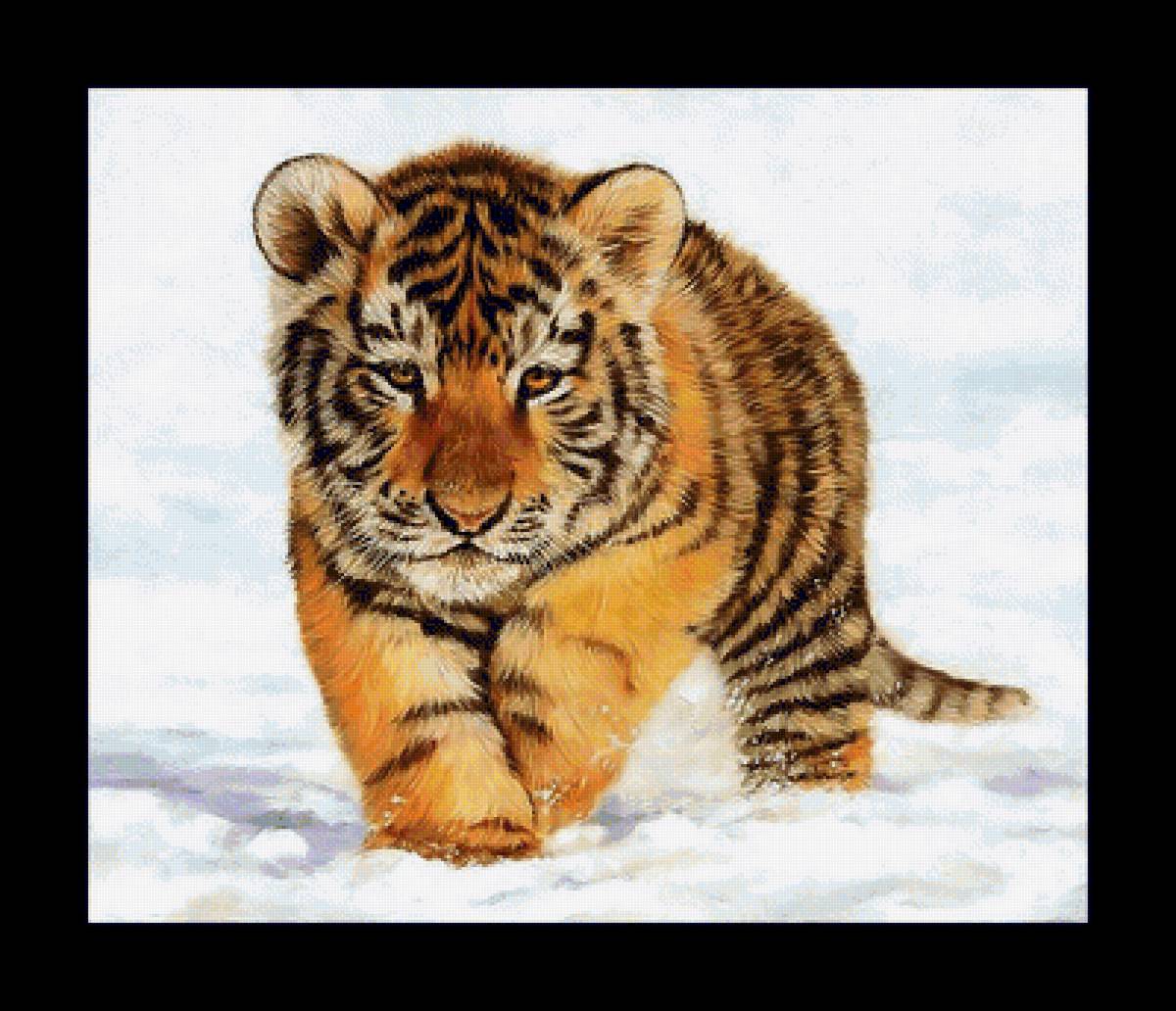 Серия "Хищники". - хищники, животные - предпросмотр