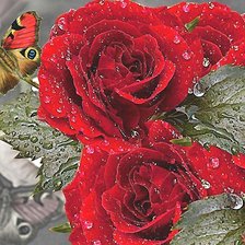 Схема вышивки «№1896849»