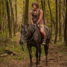 Схема вышивки «хроники асадаля»