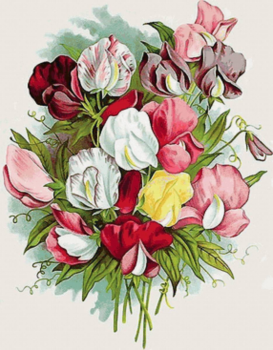 цветы - предпросмотр