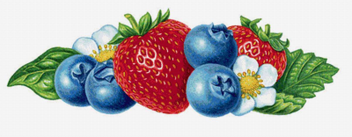 ЯГОДЫ - предпросмотр