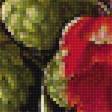Предпросмотр схемы вышивки «натюрморт» (№1898122)