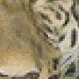 Предпросмотр схемы вышивки «леопард» (№1898389)