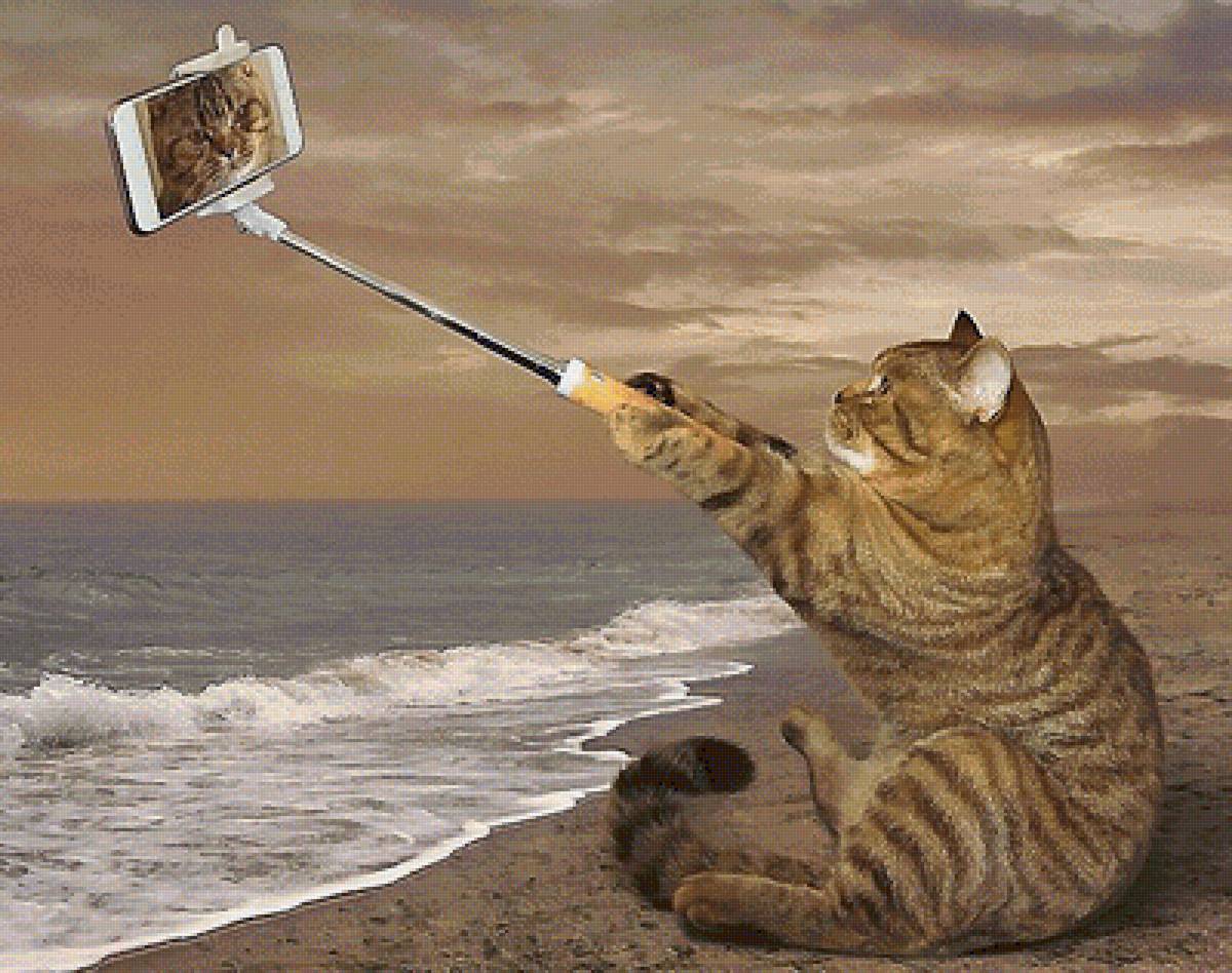 селфи - мир животных - предпросмотр